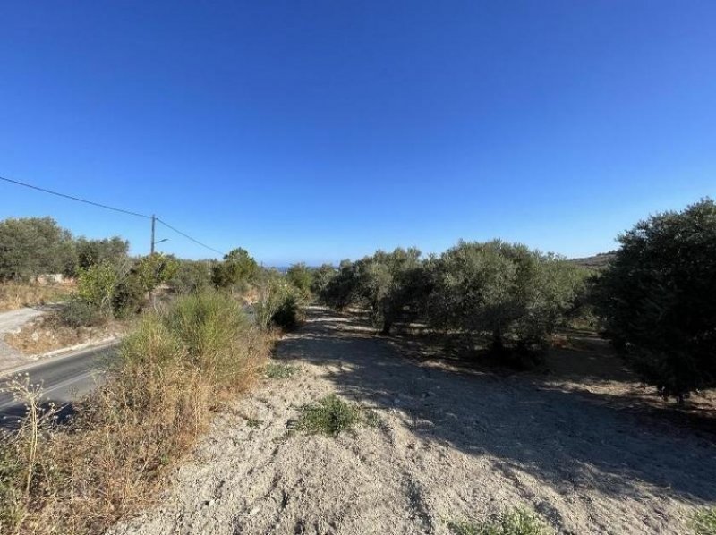 Episkopi bei Chania Kreta, Episkopi: Grundstück mit Meerblick, nahe dem Strand zu verkaufen Grundstück kaufen